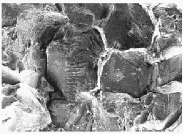 Расчет длительной прочности материалов деталей машин — Открытый Политех